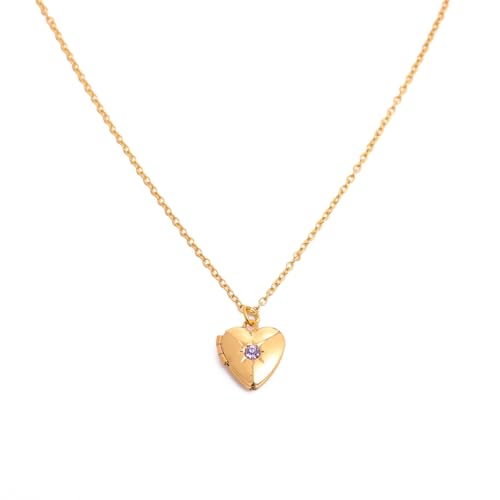 Zkydhbd Stylish Heart Photo Case Halskette Mehrzweck Metall Geburtsstein Liebe Schmuck Anhänger Für Mode Frauen Modische Anhänger von Zkydhbd