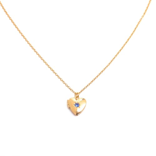 Zkydhbd Stylish Heart Photo Case Halskette Mehrzweck Metall Geburtsstein Liebe Schmuck Anhänger Für Mode Frauen Modische Anhänger von Zkydhbd