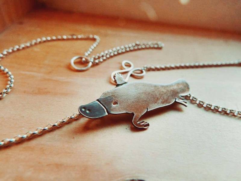 sterling Silber Platypus Halskette von ZooInfinityAndBeyond