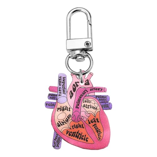Zqxnt Anatomical Heart Keychain Pendant Educational Keyrings Accessoire Für Physische Schüler Und Angehörige Der Gesundheitsberufe Biologielehrer Geschenk von Zqxnt