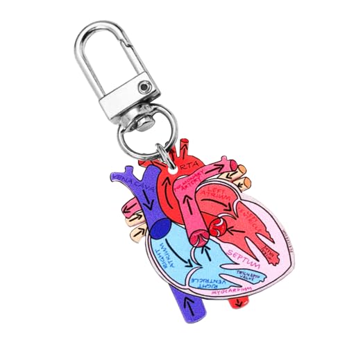 Zqxnt Anatomical Heart Keychain Pendant Educational Keyrings Accessoire Für Physische Schüler Und Angehörige Der Gesundheitsberufe Biologielehrer Geschenk von Zqxnt