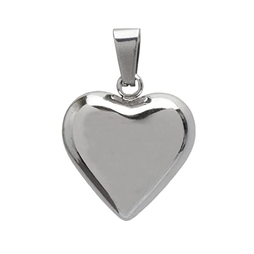 Zqxnt Edelstahl Versilbert 2 1 X 2 Cm Großer Herz Charme Anhänger Für Frauen Mädchen Schmuck Halsketten Machen Erkenntnisse Erschwinglichen Schmuck von Zqxnt