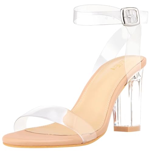 ZriEy Chunky Heels für Frauen Clear Block Heels Riemchen Plateau Sandalen Knöchelriemen Sandalen Verstellbare Schnalle Lucite Chunky High Heel Schuhe, Nude Clear, 9 US von ZriEy