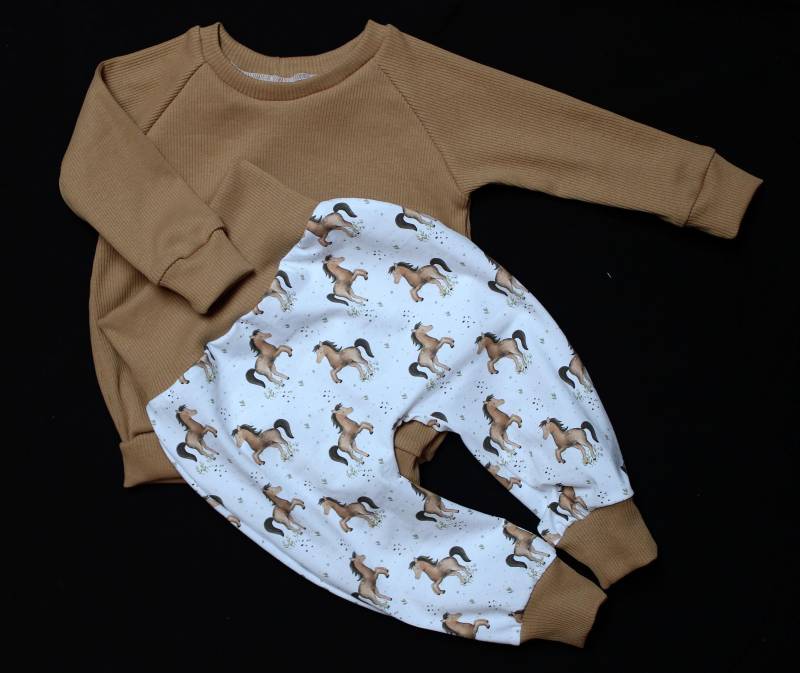 Handmade Set Pumphose Und Pulli Pullover Sweater Mitwachshose Tiere Pferd Babyhose 56 62 68 74 80 86 92 98 104 Jungs Mädchen Baby Geschenk von ZwergerlFashion