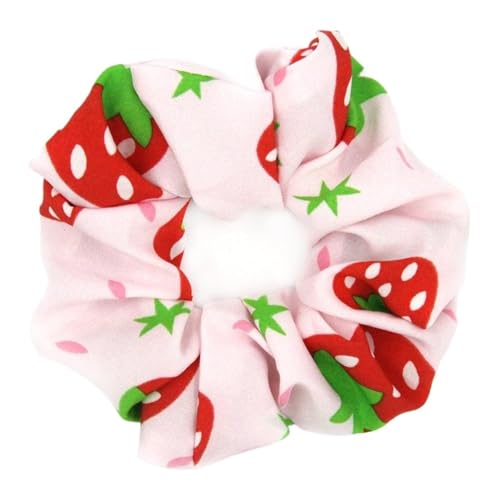 10 Stück Damen-Frucht-Haargummis für Frauen oder Mädchen(Color2) von Zymjzbetic