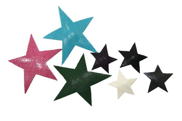 Sterne aus Rochenleder von a cuckoo moment...