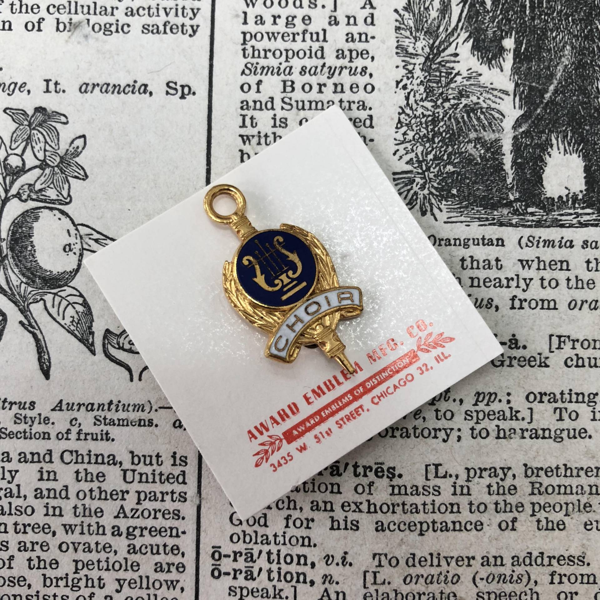 Jahrgang Chor Emaille - Singen Anstecknadel Gold-Ton High School Stift Alte Brief Jacke Varsity Pin von aVintageParcel