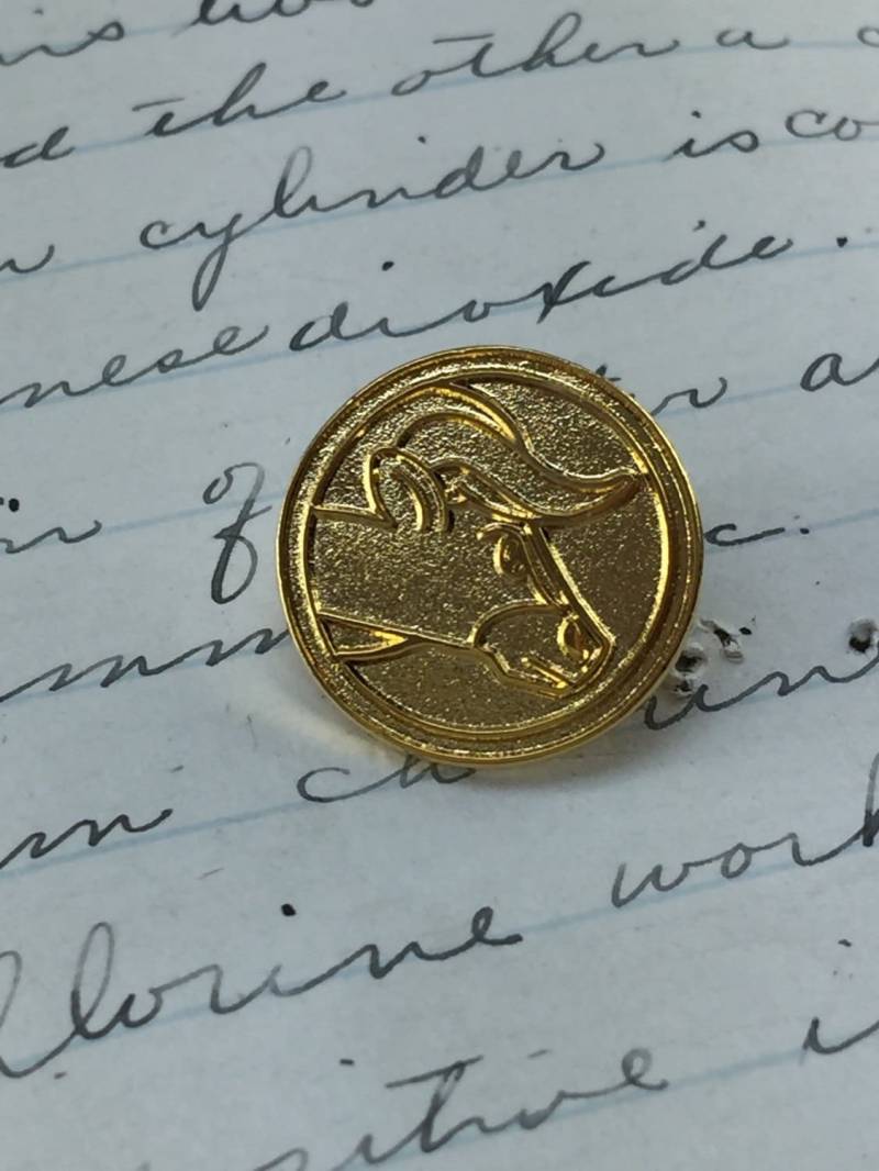 Stier Sternzeichen Pin - Gold Metall Revers Stift Astrologie Button Geschenk Tierkreis Zeichen von aVintageParcel