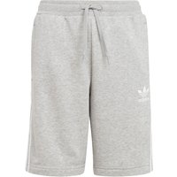 Shorts 'Adicolor' von adidas Originals