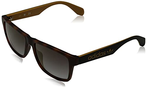 adidas Originals Herren OR0024 Sonnenbrille, Marrone/Nero, Taglia Unica von adidas Originals