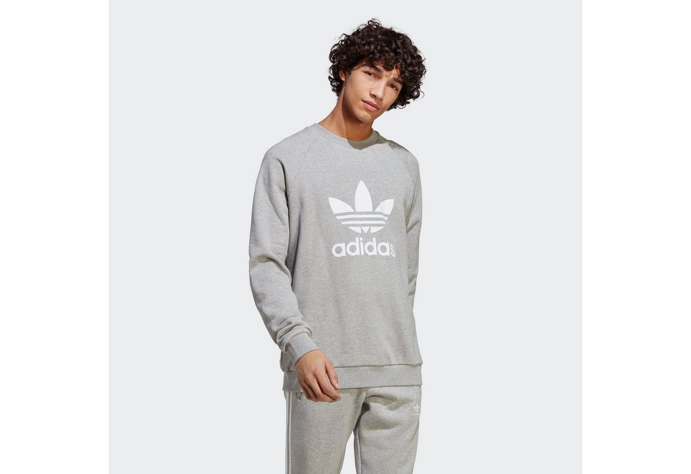 adidas Originals Sweatshirt ADICOLOR CLASSICS TREFOIL von adidas Originals