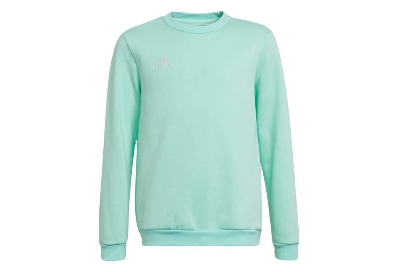 adidas Performance Fleecepullover adidas Kinder Pullover Entrada 22 Sweat Top Youth von adidas Performance