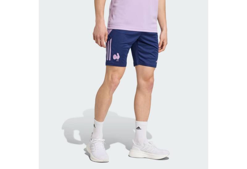adidas Performance Funktionsshorts FRANKREICH GYM SHORTS von adidas Performance
