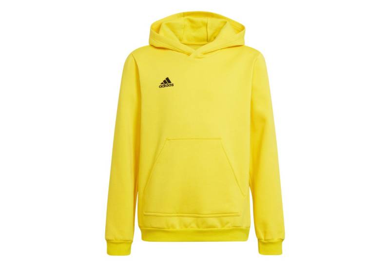 adidas Performance Kapuzenpullover adidas Kinder Kapuzenpullover Entrada 22 Sweat Hoodie von adidas Performance