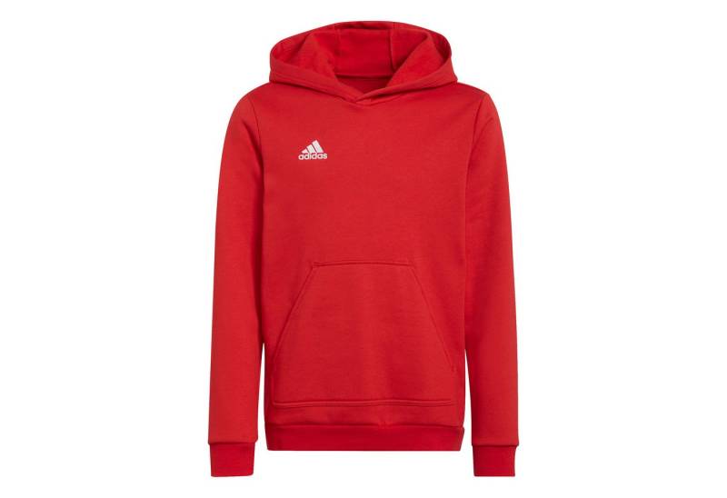 adidas Performance Kapuzenpullover adidas Kinder Kapuzenpullover Entrada 22 Sweat Hoodie von adidas Performance
