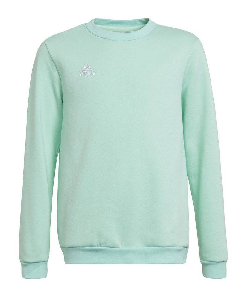 adidas Performance Sweatshirt adidas Performance Entrada 22 Sweatshirt Kids Baumwolle von adidas Performance