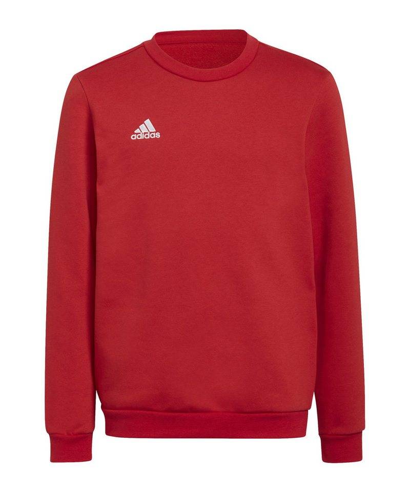 adidas Performance Sweatshirt adidas Performance Entrada 22 Sweatshirt Kids Baumwolle von adidas Performance