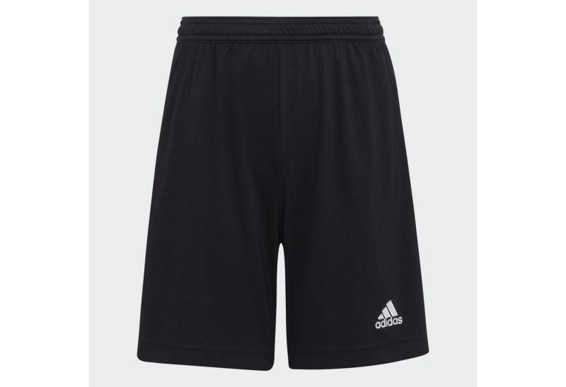 adidas Performance Sweatshorts ENTRADA 22 SHORTS adidas Performance Sweatshorts ENTRADA 22 SHORTS von adidas Performance