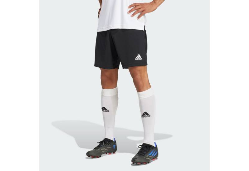 adidas Performance Sweatshorts ENTRADA 22 SHORTS von adidas Performance