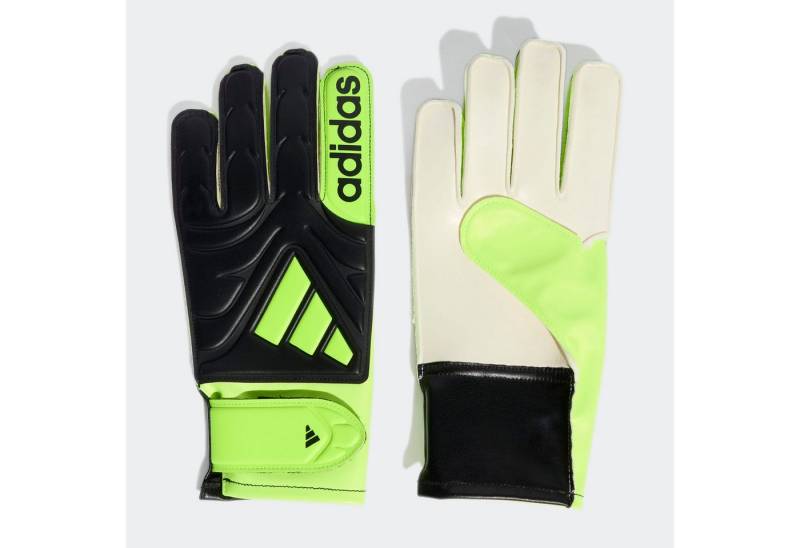 adidas Performance Torwarthandschuhe COPA GL CLB J von adidas Performance