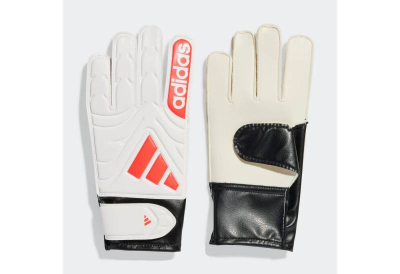 adidas Performance Torwarthandschuhe COPA GL CLB J von adidas Performance