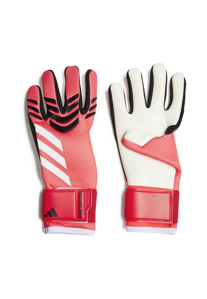 adidas Performance Torwarthandschuhe Herren Torwarthandschuhe PREDATOR LEAGUE von adidas Performance
