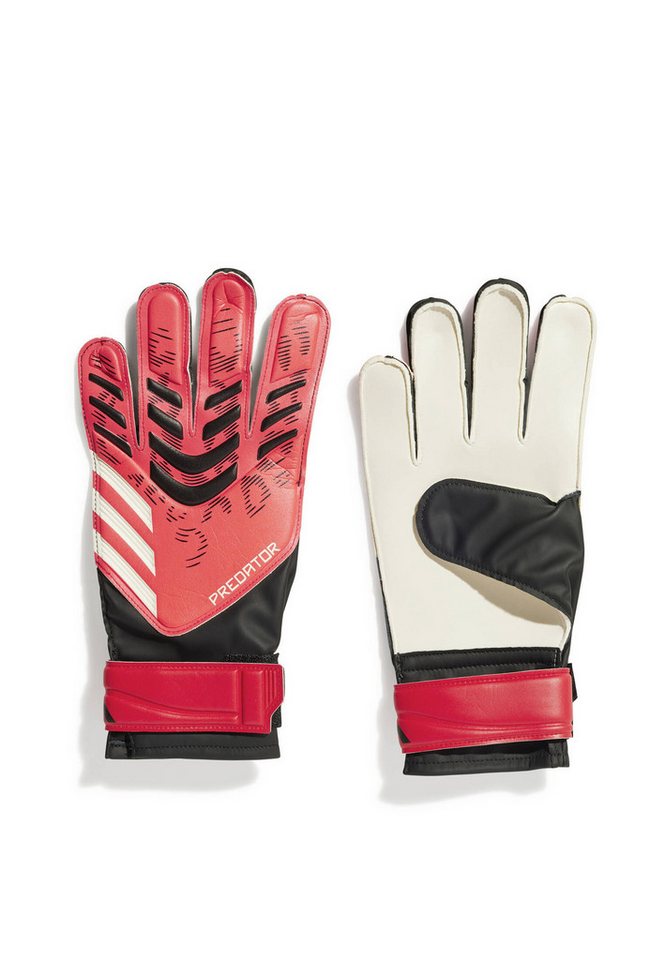 adidas Performance Torwarthandschuhe Herren Torwarthandschuhe PREDATOR TRAINING von adidas Performance