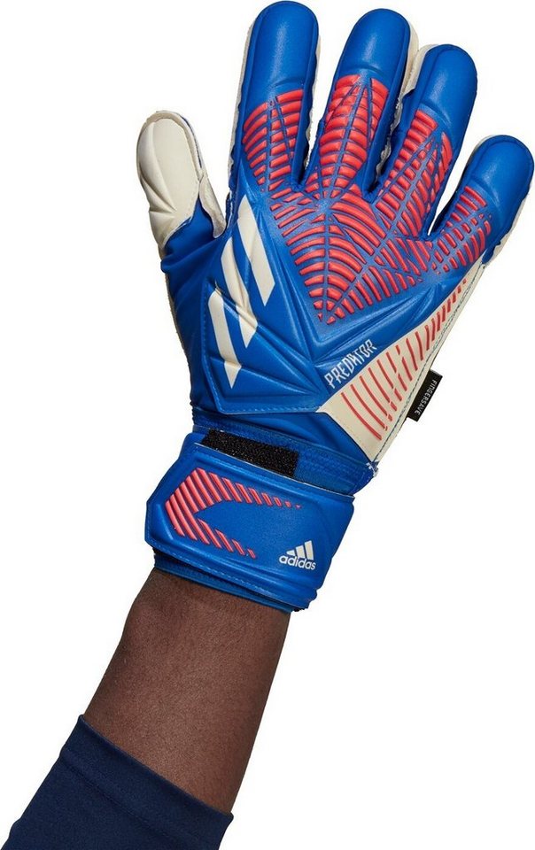 adidas Performance Torwarthandschuhe PRED GL MTC FS HIRBLU/TURBO/WHITE adidas Performance Torwarthandschuhe PRED GL MTC FS HIRBLU/TURBO/WHITE von adidas Performance