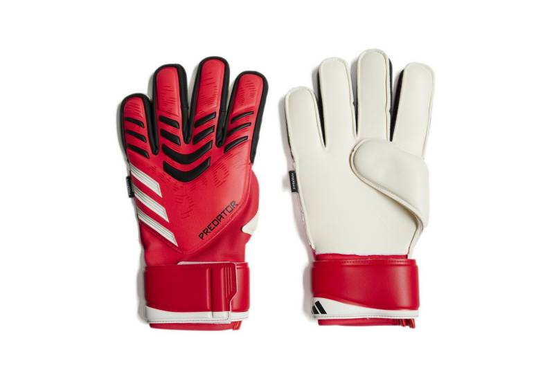 adidas Performance Torwarthandschuhe PRED GL MTC FS PURRUB/LUCRED/BLACK von adidas Performance