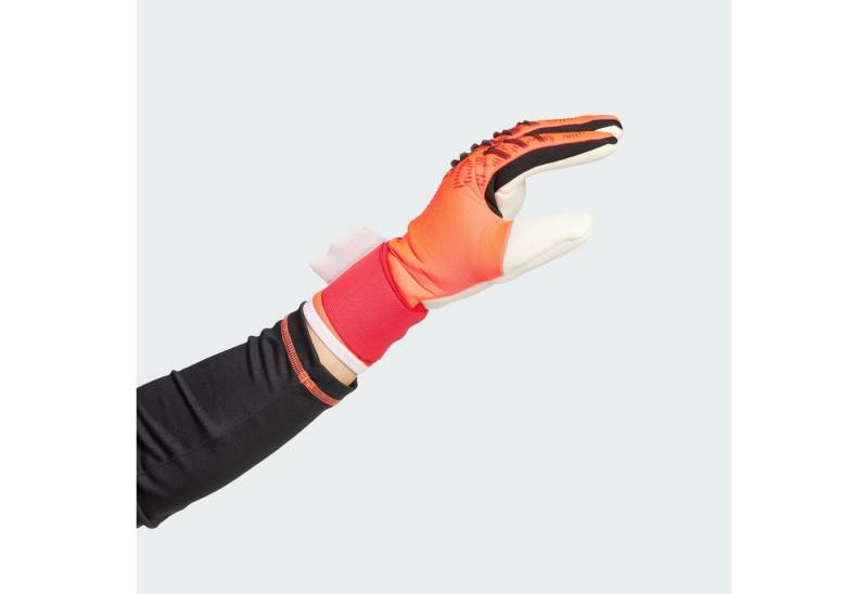 adidas Performance Torwarthandschuhe PREDATOR COMPETITION TORWARTHANDSCHUHE von adidas Performance