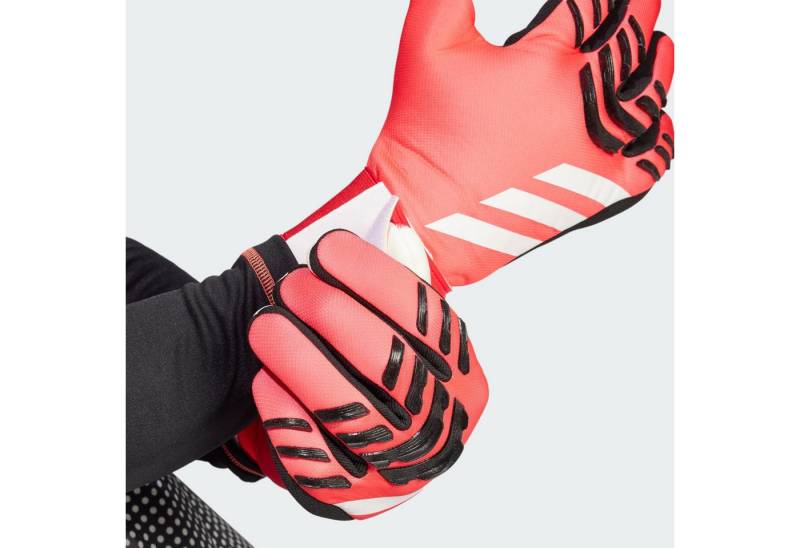 adidas Performance Torwarthandschuhe PREDATOR LEAGUE TORWARTHANDSCHUHE von adidas Performance