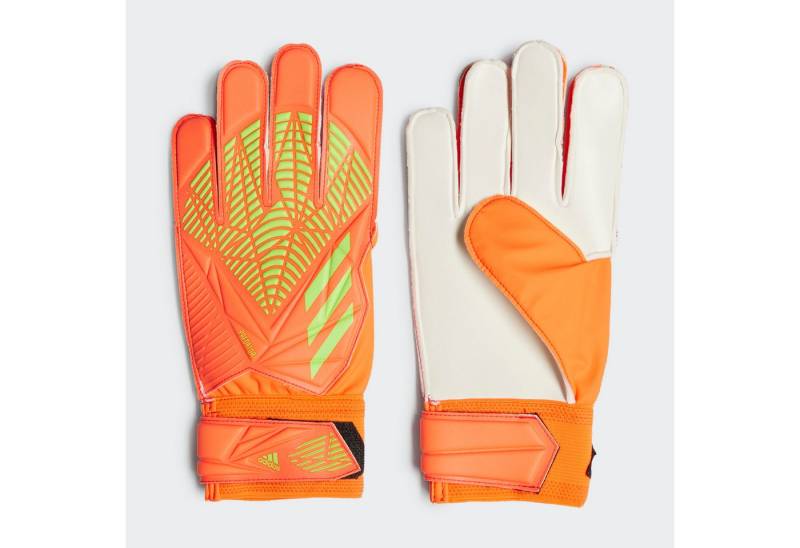 adidas Performance Torwarthandschuhe adidas Herren Torwarthandschuhe Predator Edge Training von adidas Performance