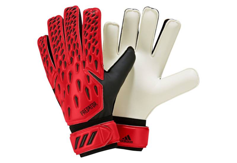 adidas Performance Torwarthandschuhe adidas Herren Torwarthandschuhe Predator Training von adidas Performance