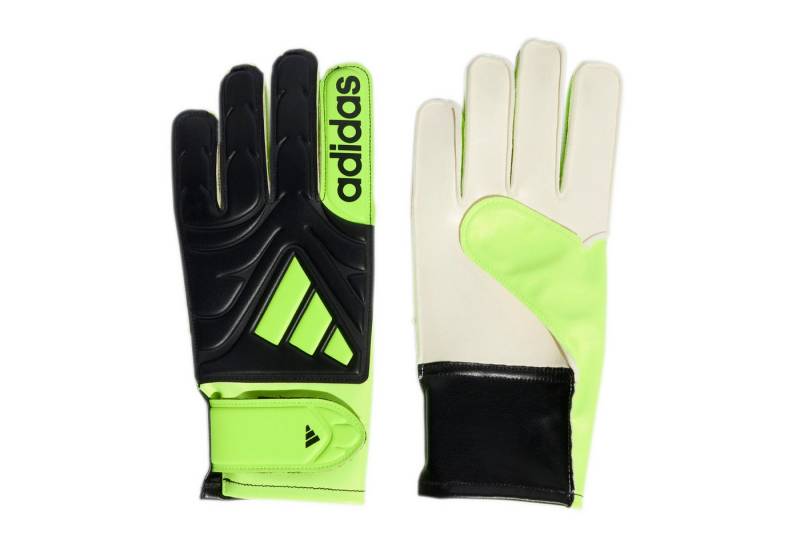 adidas Performance Torwarthandschuhe adidas Kinder Torwarthandschuhe COPA GL CLB J von adidas Performance