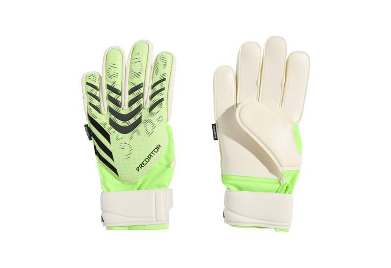 adidas Performance Torwarthandschuhe adidas Kinder Torwarthandschuhe Predator GL Match FS J von adidas Performance