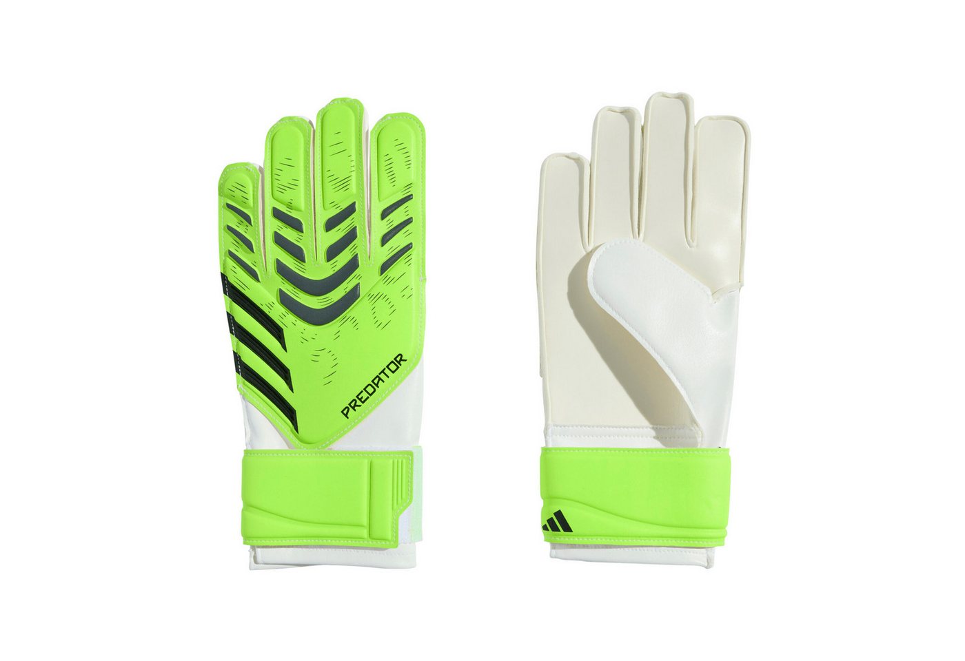 adidas Performance Torwarthandschuhe adidas Kinder Torwarthandschuhe Predator GL Training J adidas Performance Torwarthandschuhe adidas Kinder Torwarthandschuhe Predator GL Training J von adidas Performance