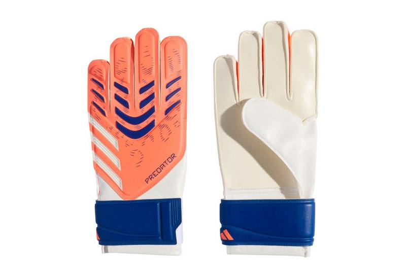 adidas Performance Torwarthandschuhe adidas Kinder Torwarthandschuhe Predator GL Training J von adidas Performance