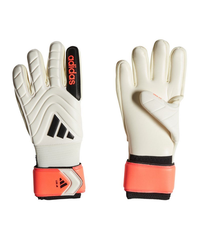 adidas Performance Torwarthandschuhe adidas Performance von adidas Performance