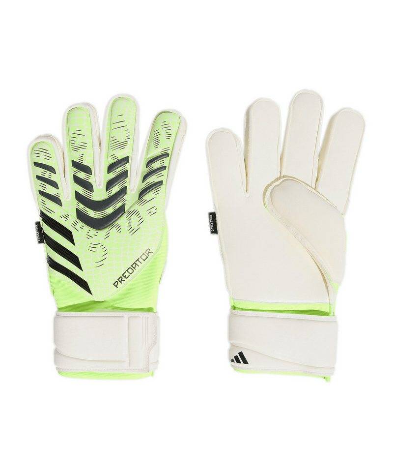adidas Performance Torwarthandschuhe adidas Performance von adidas Performance
