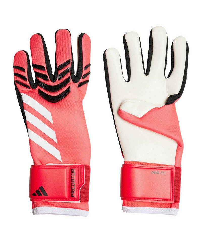 adidas Performance Torwarthandschuhe adidas Performance von adidas Performance