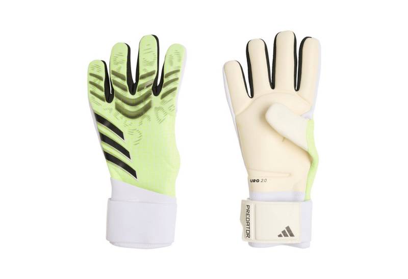 adidas Performance Torwarthandschuhe adidas Torwarthandschuhe Predator GL Competition von adidas Performance