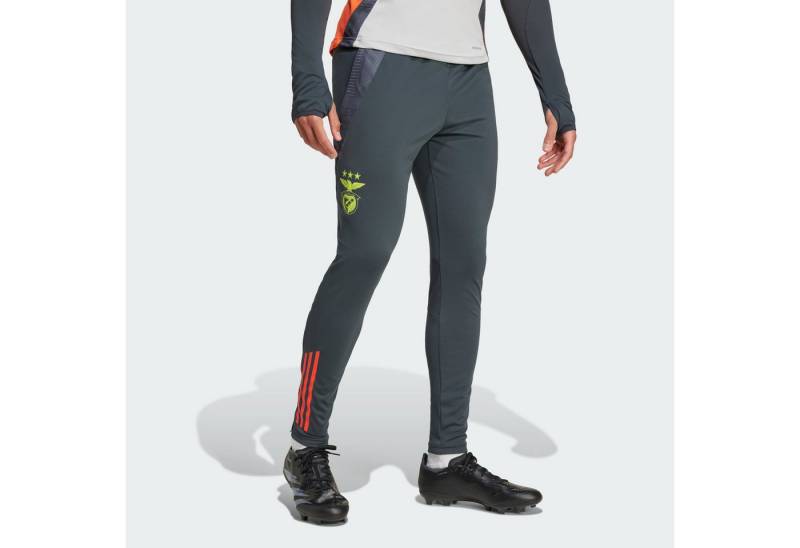 adidas Performance Trainingshose BENFICA LISSABON TIRO 24 COMPETITION TRAININGSHOSE von adidas Performance