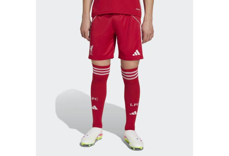 adidas Performance Trainingsshorts FC LIVERPOOL FC 25/26 HEIMSHORTS KINDER von adidas Performance