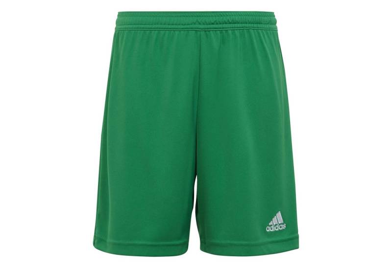 adidas Performance Trainingsshorts adidas Kinder Short Entrada 22 Shorts von adidas Performance