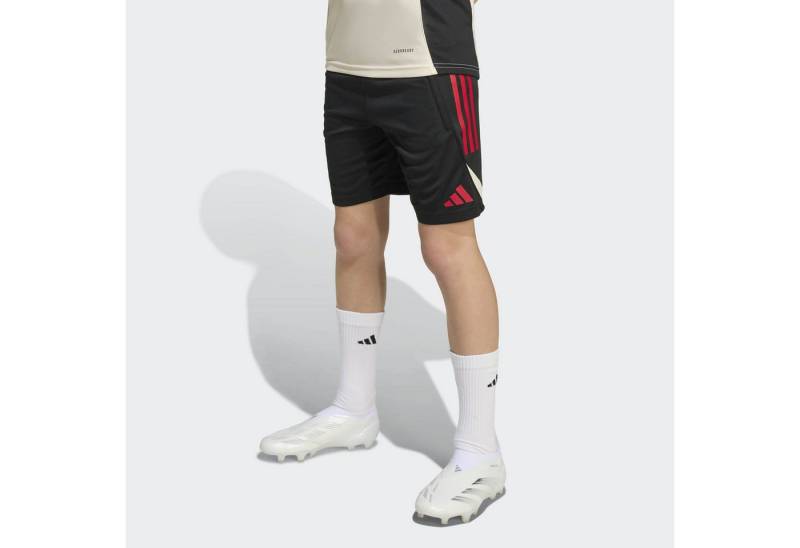 adidas Performance Trainingsshorts von adidas Performance