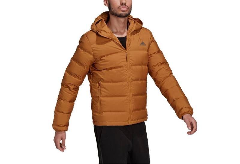 adidas Performance Winterjacke Winter-Daunenjacke Helionic (wind- und wasserabweisend) braun Herren von adidas Performance