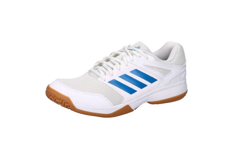 adidas Performance adidas Herren Volleyballschuhe Speedcourt M Hallenschuh von adidas Performance