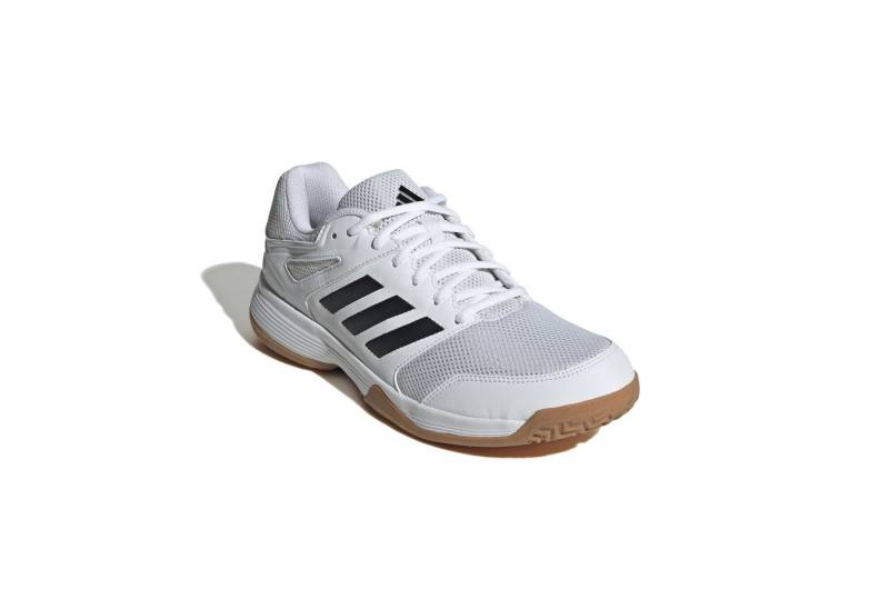 adidas Performance adidas Herren Volleyballschuhe Speedcourt Trainingsschuh von adidas Performance