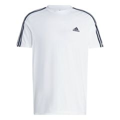 Herren T-Shirt von adidas Sportswear