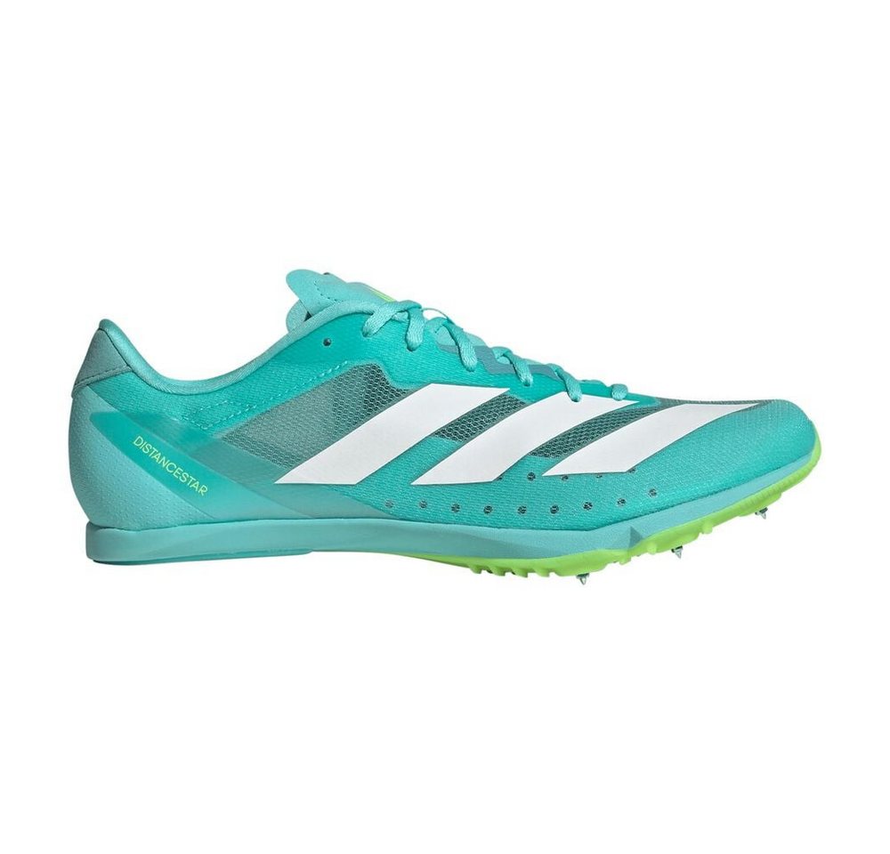 adidas Sportswear Distancestar - Spikeschuh Laufschuh von adidas Sportswear